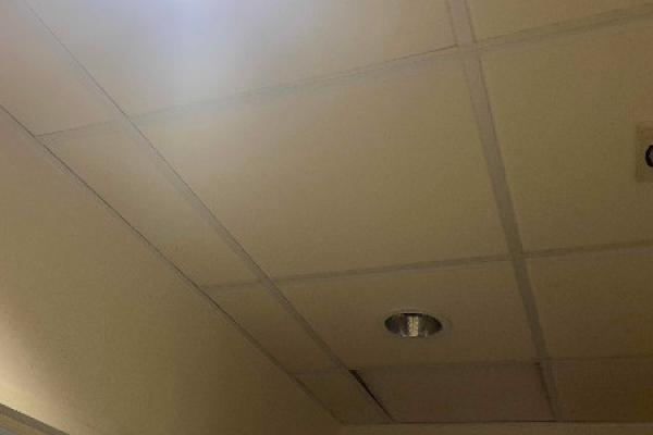 Remplacement de downlights dans une entreprise à taverny