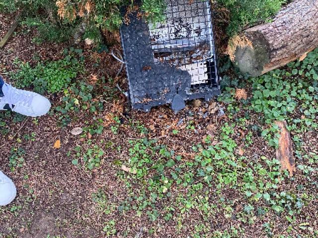 Travaux électriques sur éclairages extérieurs à St Germain en Laye