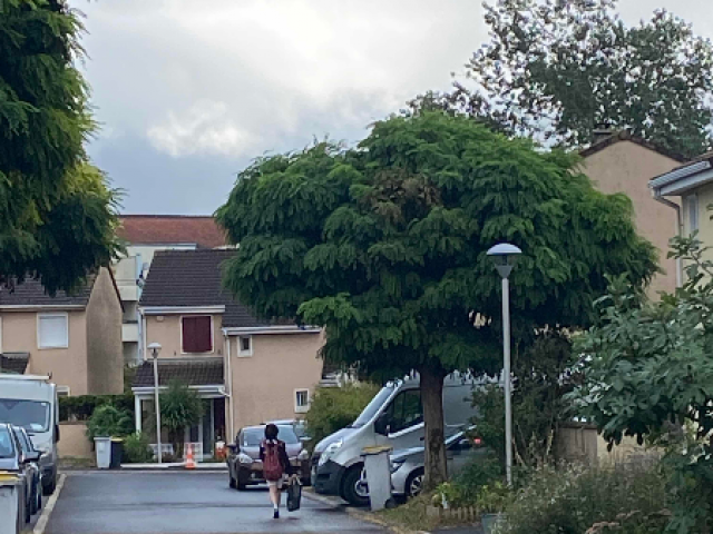 Remplacement d'une tête de candélabre LED à Cergy